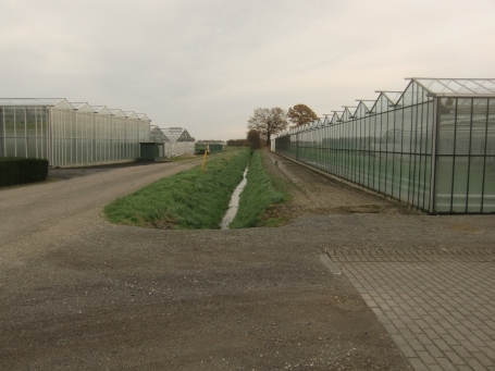 Geldern-Walbeck : Walbecker Straße, Gartenbaubetrieb und Gewächshäuser